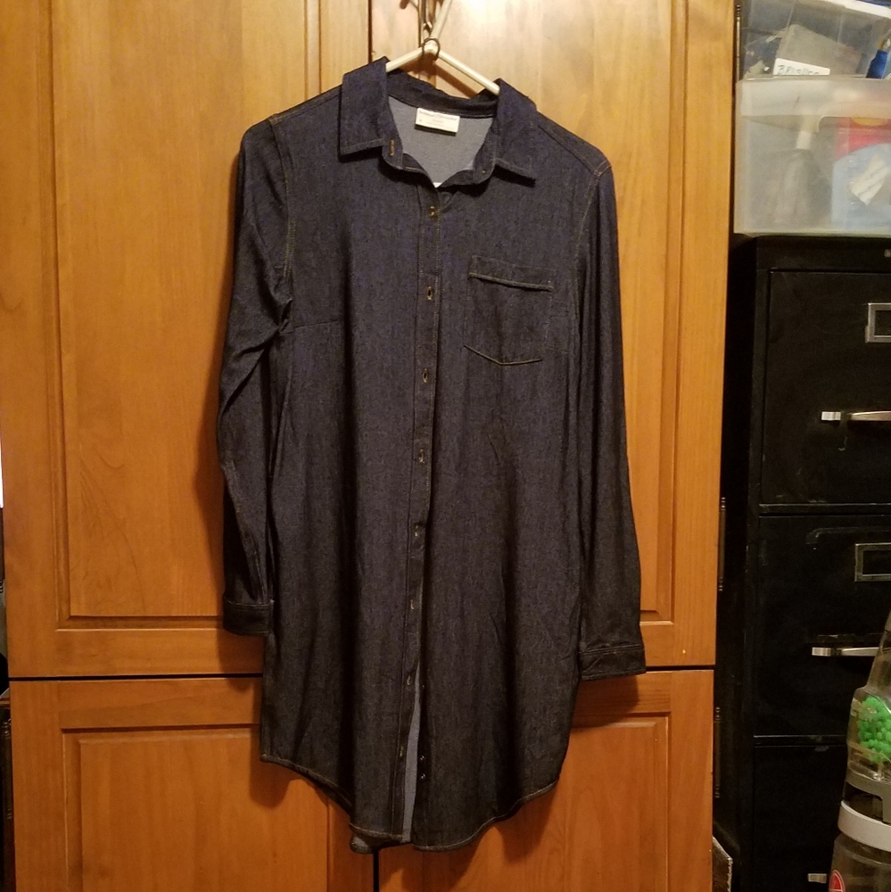 Shirt dress